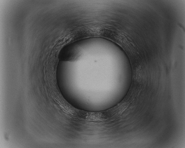 X0000103481201200809121642