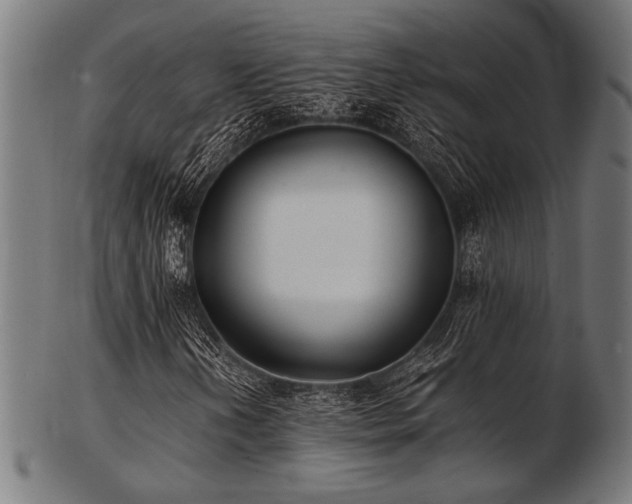 X0000103481202200809121642
