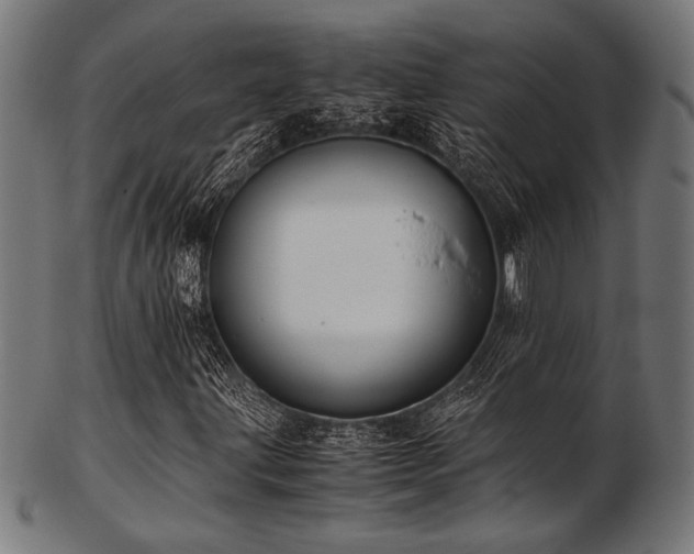 X0000103481203200809121642