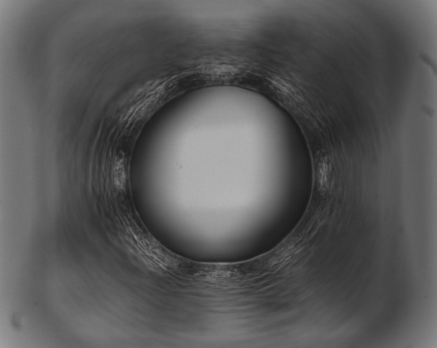 X0000103481204200809121642
