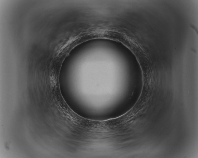 X0000103481206200809121642