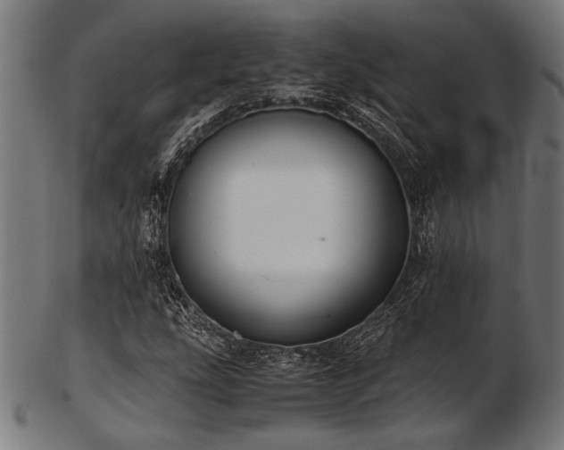 X0000103481207200809121642
