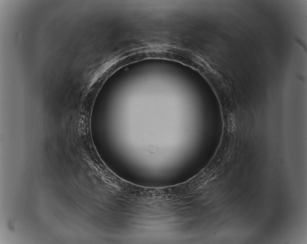 X0000103481208200809121642