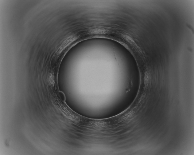 X0000103481209200809121642