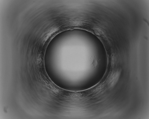 X0000103481210200809121642