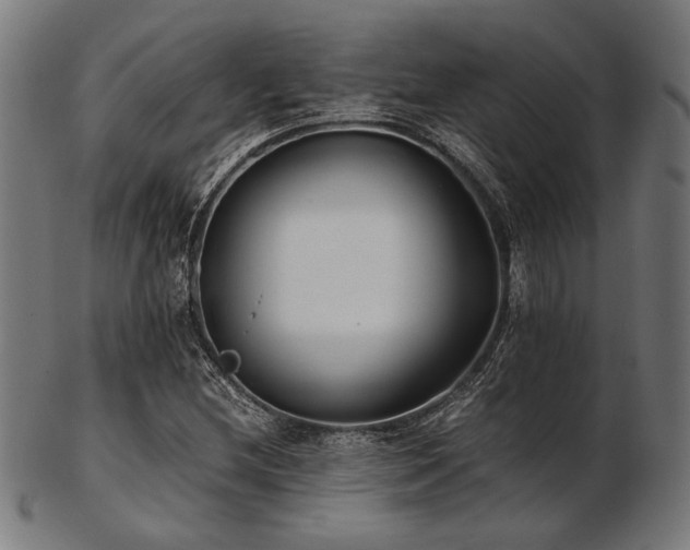 X0000103481212200809121642