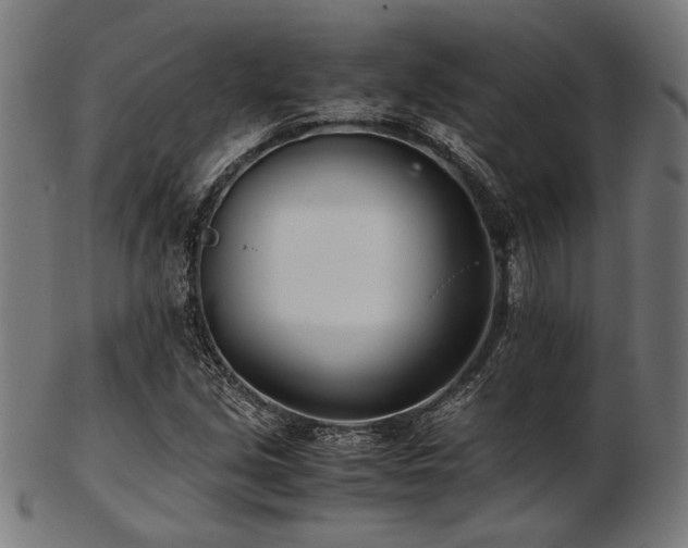 X0000103481213200809121642