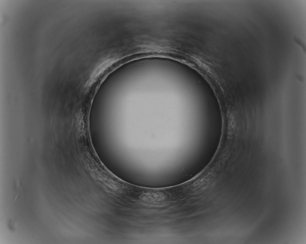 X0000103481215200809121642