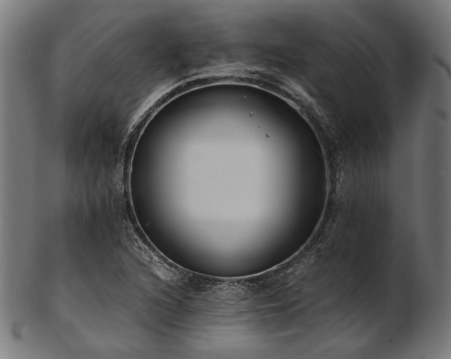 X0000103481216200809121642