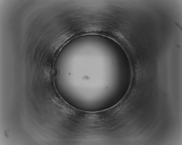 X0000103481217200809121642