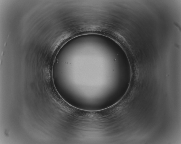 X0000103481218200809121642