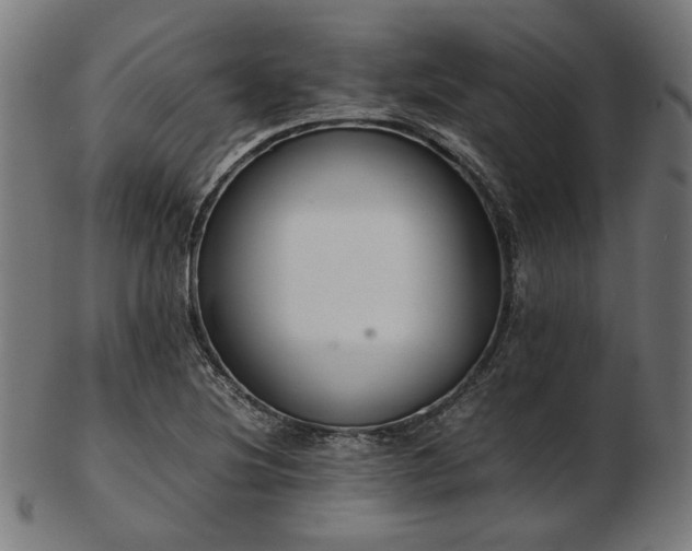 X0000103481220200809121642
