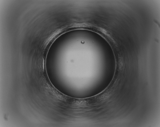 X0000103481221200809121642
