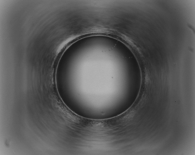 X0000103481222200809121642