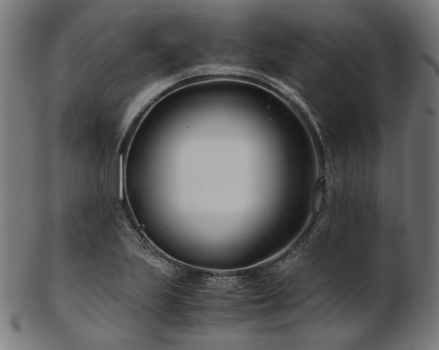 X0000103481223200809121642
