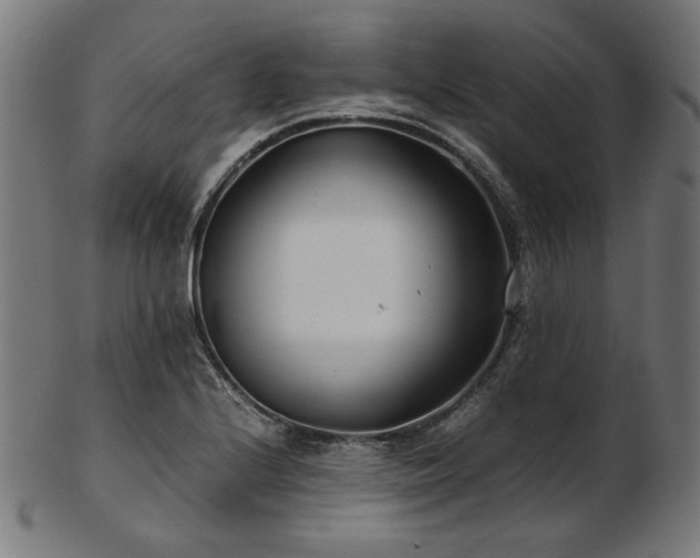 X0000103481224200809121642