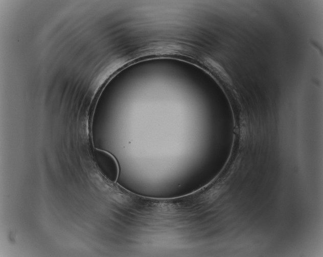 X0000103481226200809121642