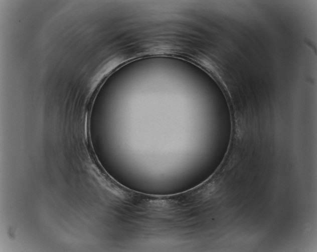 X0000103481227200809121642