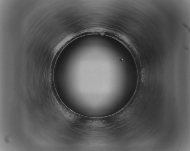 X0000103481229200809121642