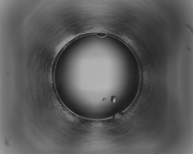 X0000103481230200809121642