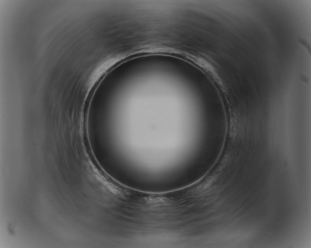 X0000103481231200809121642