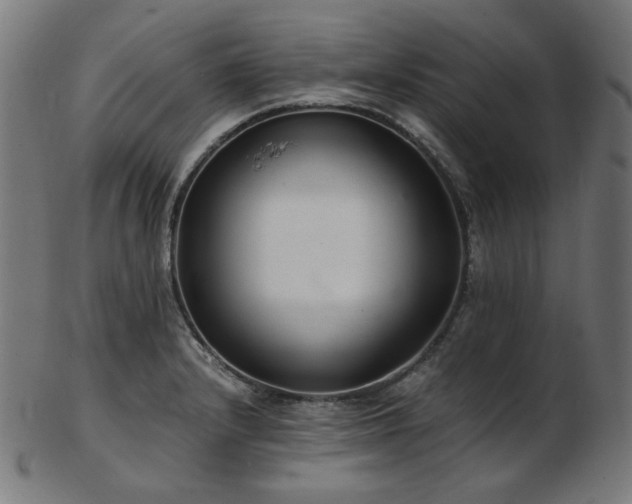 X0000103481232200809121642