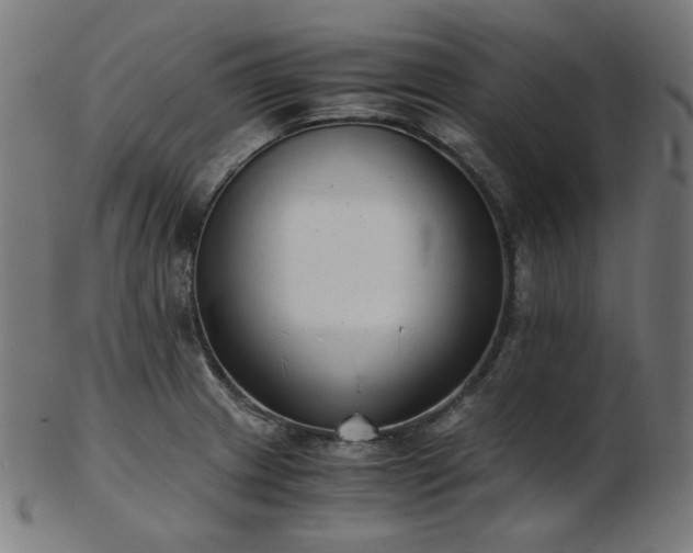X0000103481233200809121642