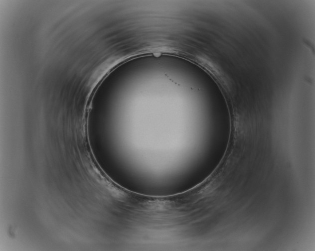 X0000103481236200809121642