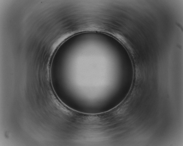 X0000103481238200809121643