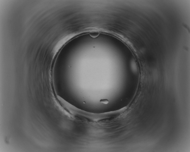 X0000103481239200809121643