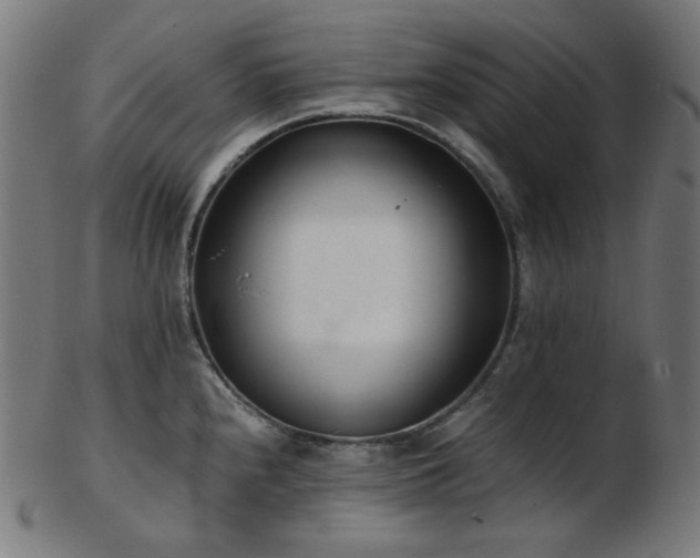X0000103481240200809121643