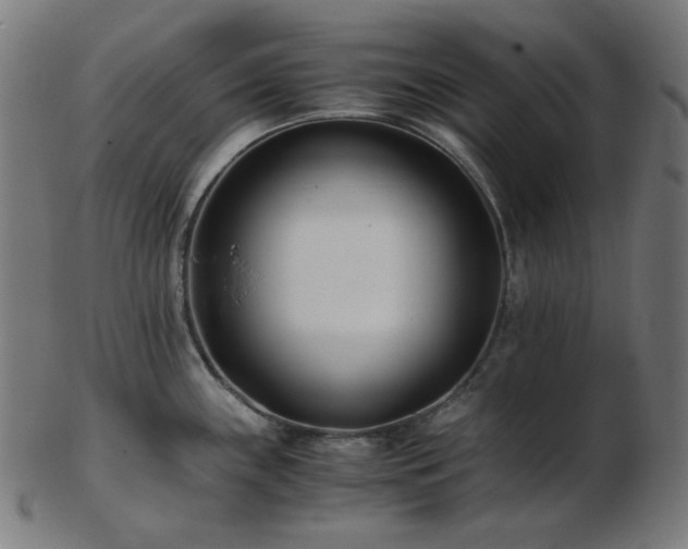 X0000103481243200809121643