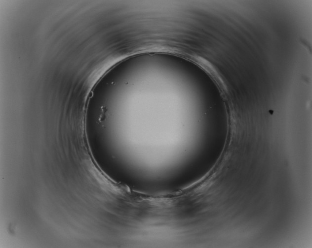 X0000103481244200809121643