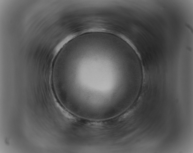 X0000103481245200809121643