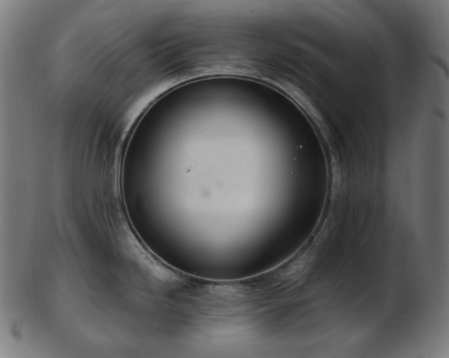 X0000103481246200809121643
