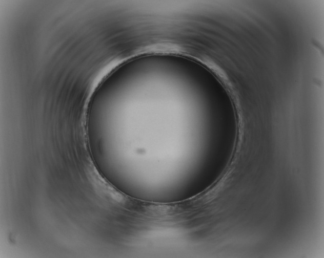 X0000103481248200809121643