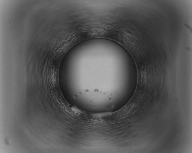 X0000103481250200809121642