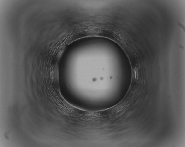 X0000103481251200809121642