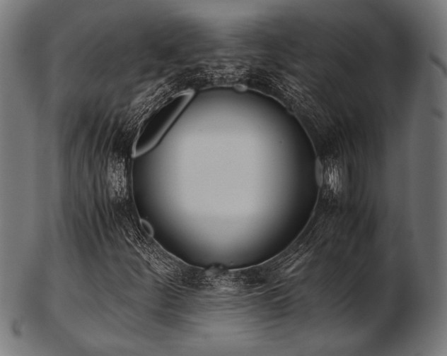 X0000103481252200809121642