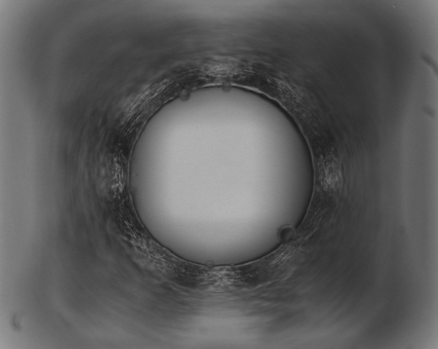 X0000103481253200809121642