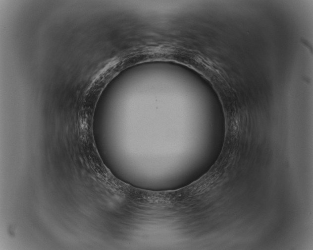 X0000103481254200809121642