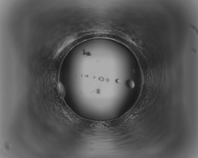 X0000103481255200809121642