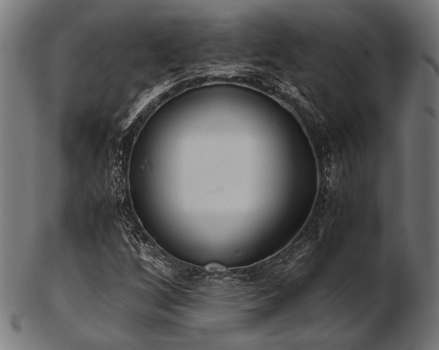 X0000103481256200809121642