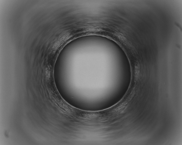 X0000103481257200809121642