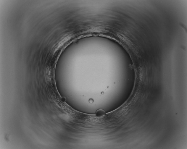 X0000103481258200809121642