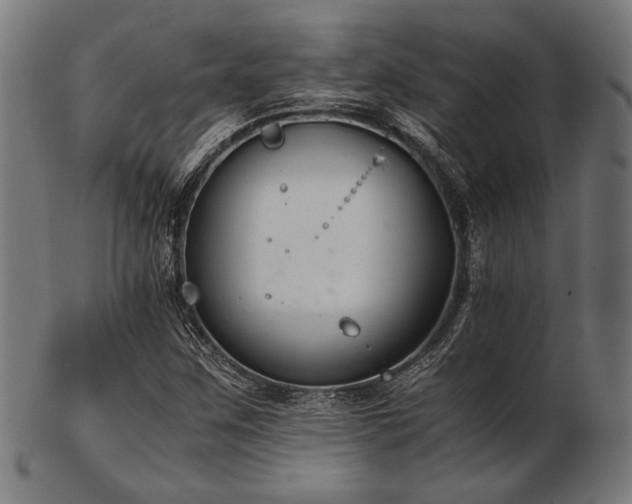 X0000103481259200809121642