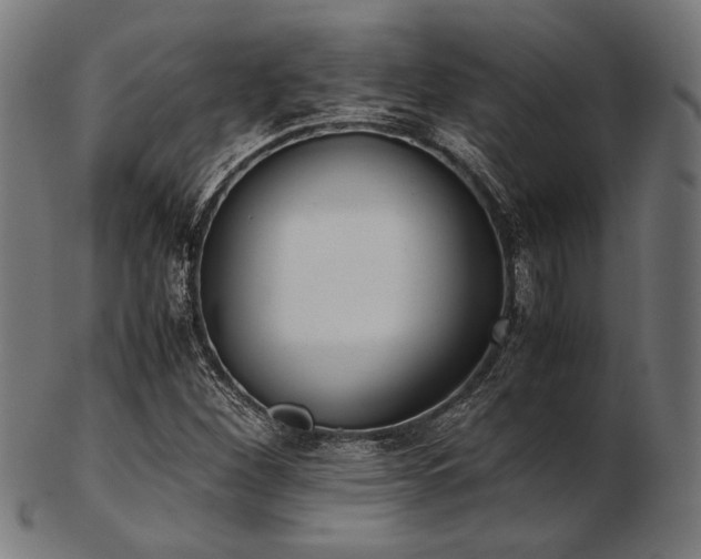 X0000103481260200809121642