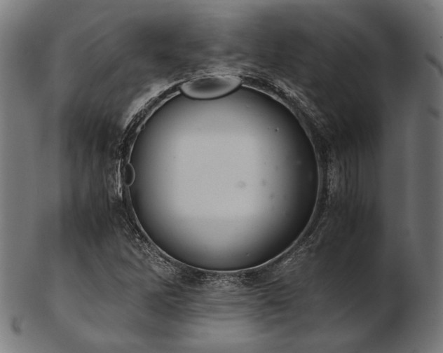X0000103481262200809121642