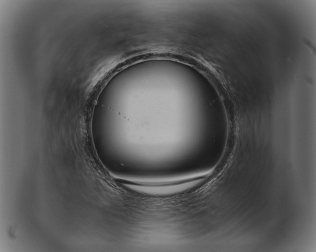 X0000103481263200809121642