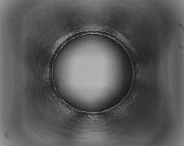 X0000103481264200809121642